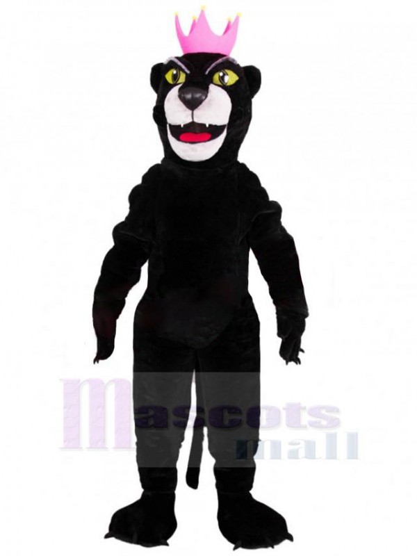 Panther mascot costume