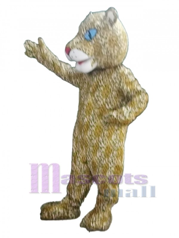 Leopard mascot costume