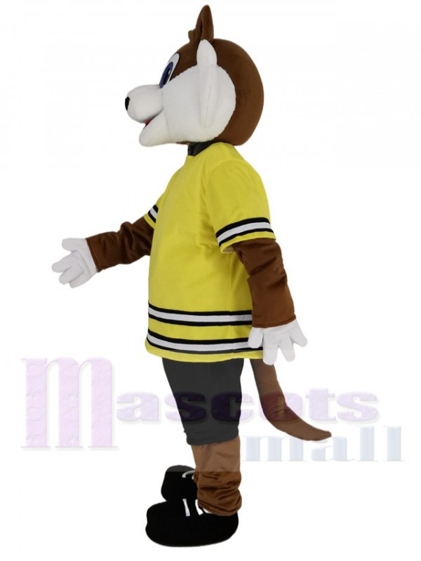 Fox mascot costume