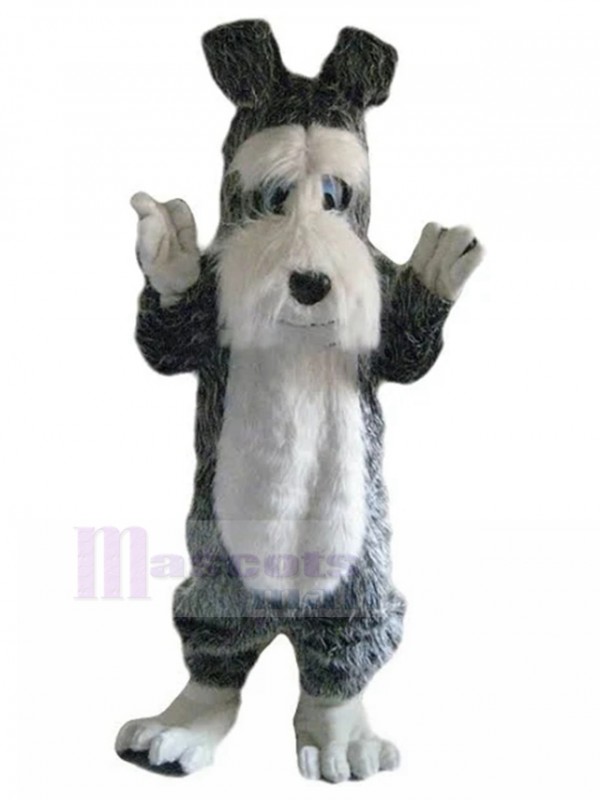 dog mascot costume