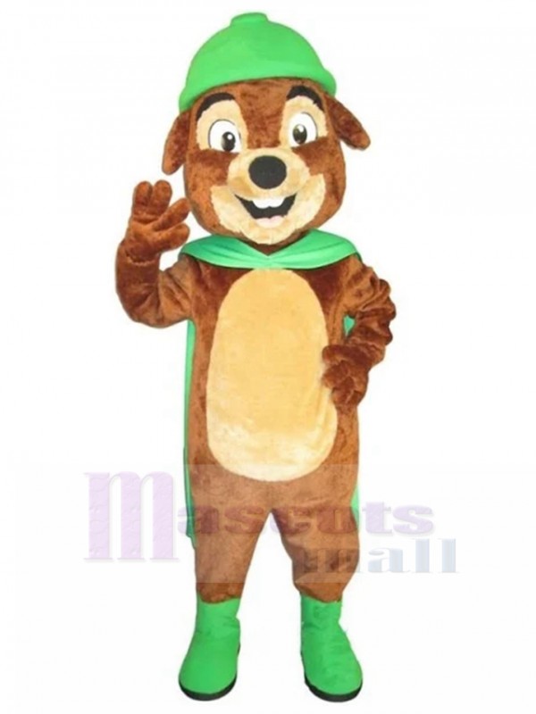 dog mascot costume