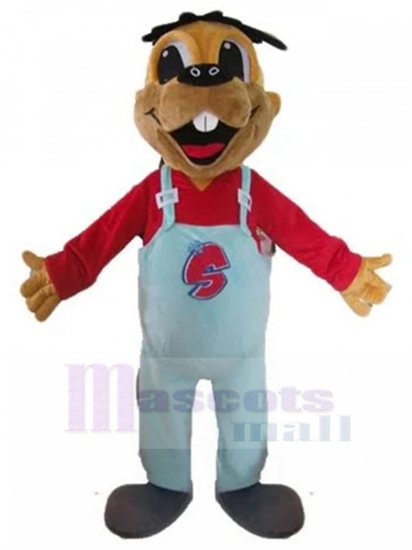 dog mascot costume