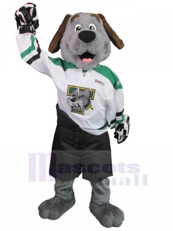 dog mascot costume