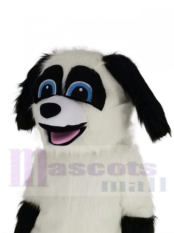 Sheepdog mascot costume