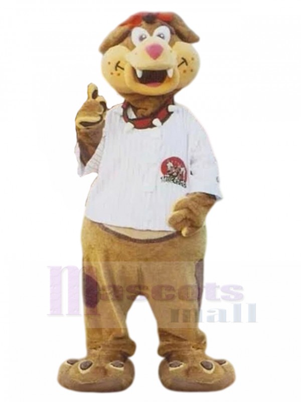 dog mascot costume