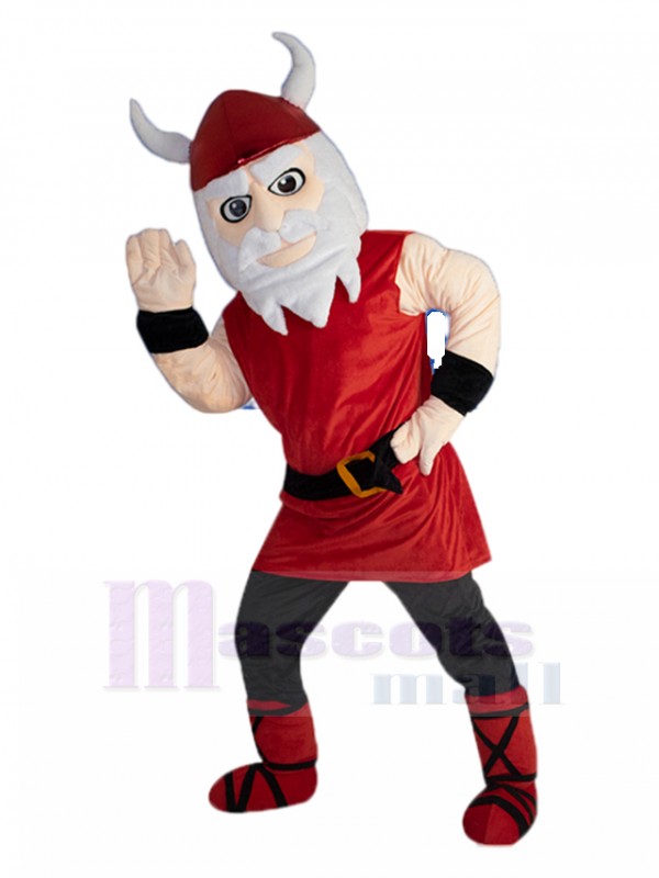 vikings mascot costume