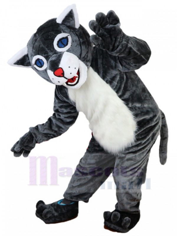 Wildcat mascot costume