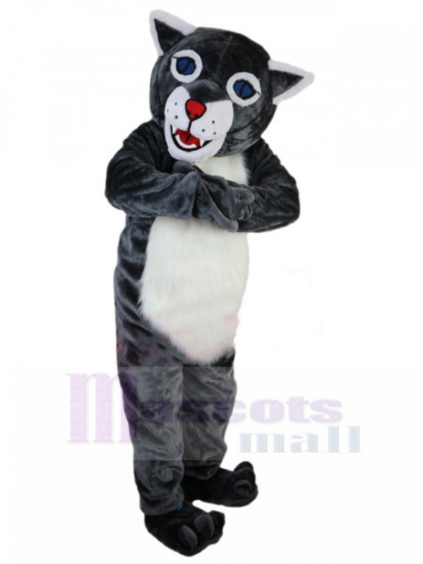 Wildcat mascot costume