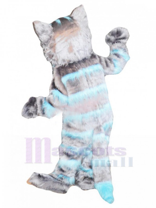 cat mascot costume