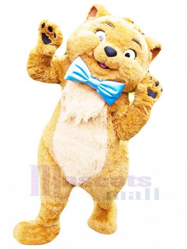 cat mascot costume