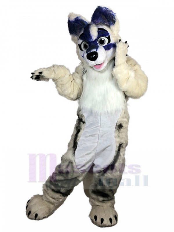Dog mascot costume