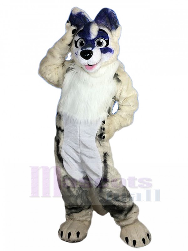 Dog mascot costume