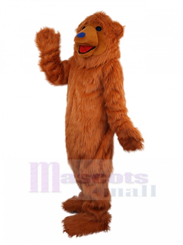 Bear mascot costume