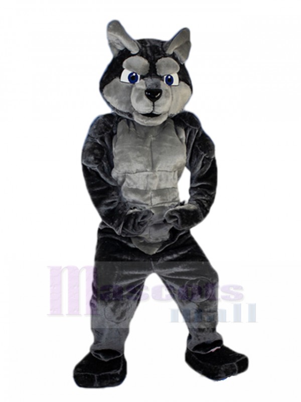wolf mascot costume