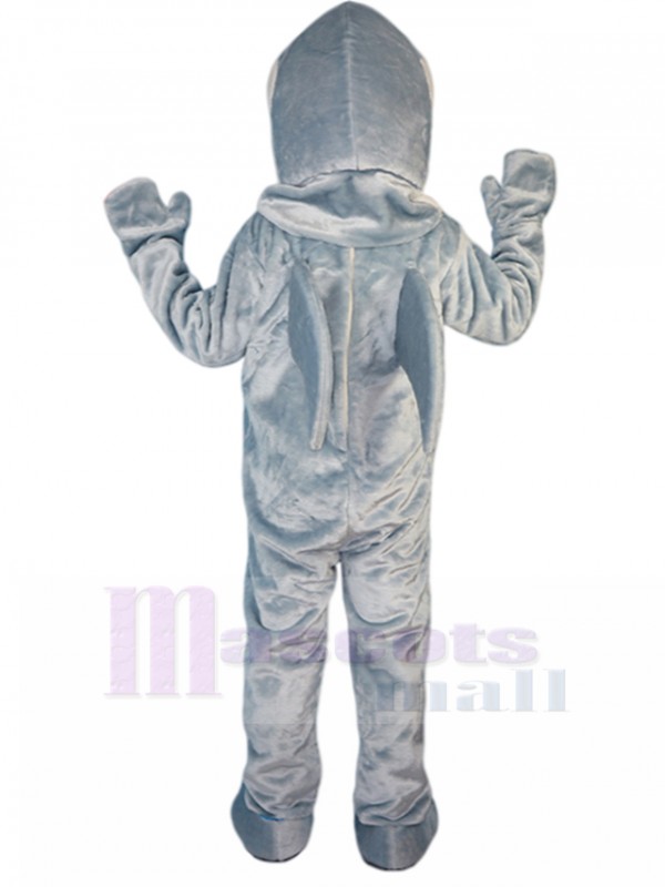 Dolphin mascot costume