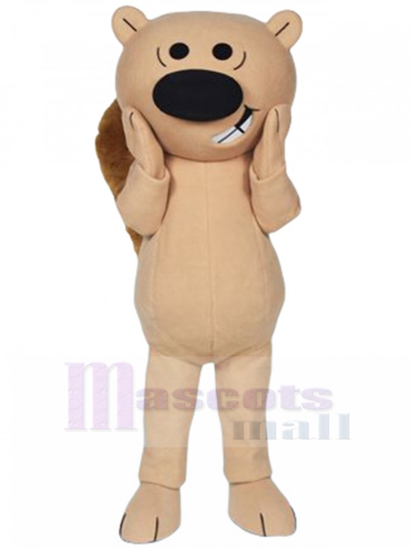 Squirrel mascot costume
