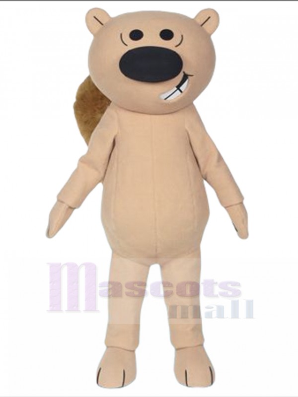 Squirrel mascot costume