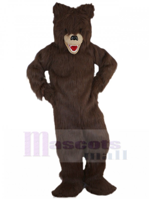Bear mascot costume