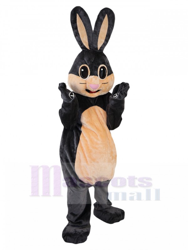 Rabbit mascot costume