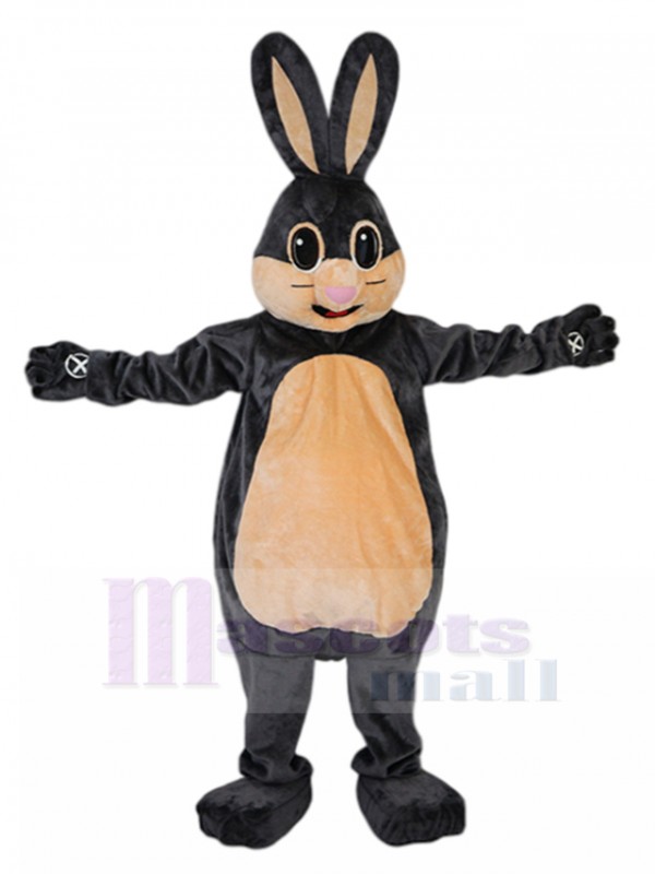 Rabbit mascot costume