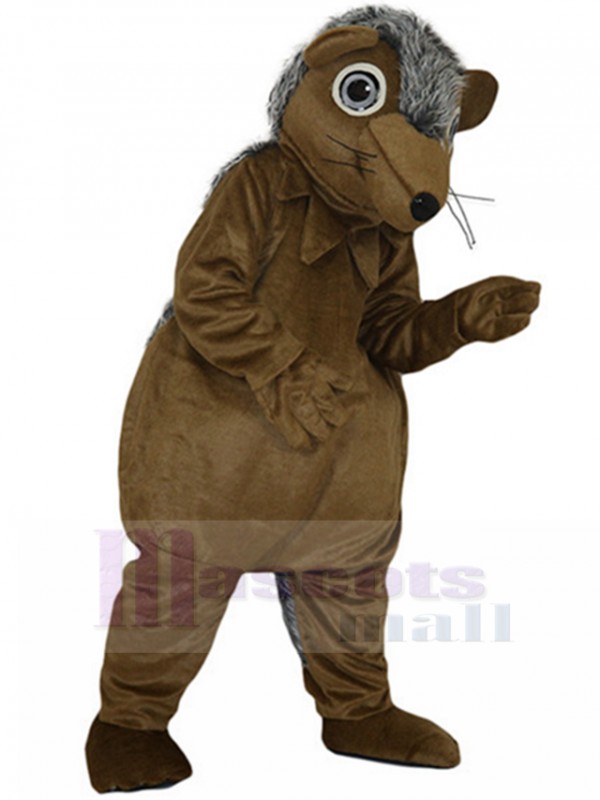 Hedgehog mascot costume