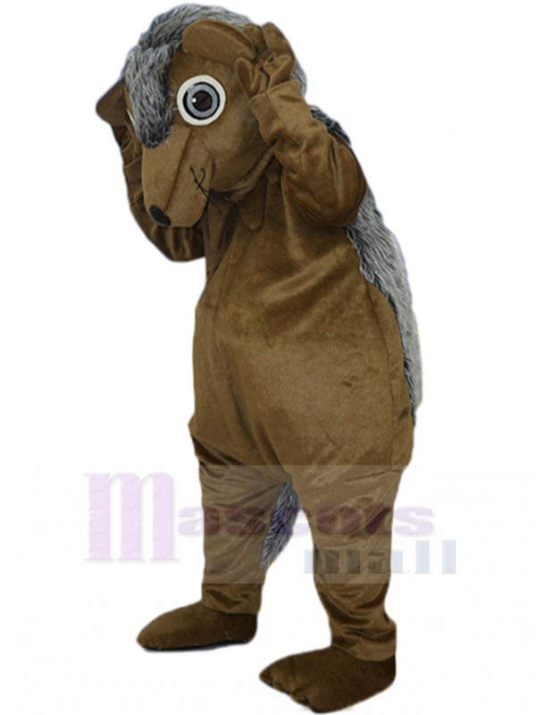 Hedgehog mascot costume