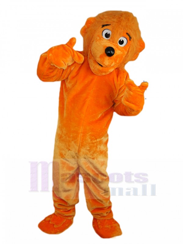 Bear mascot costume