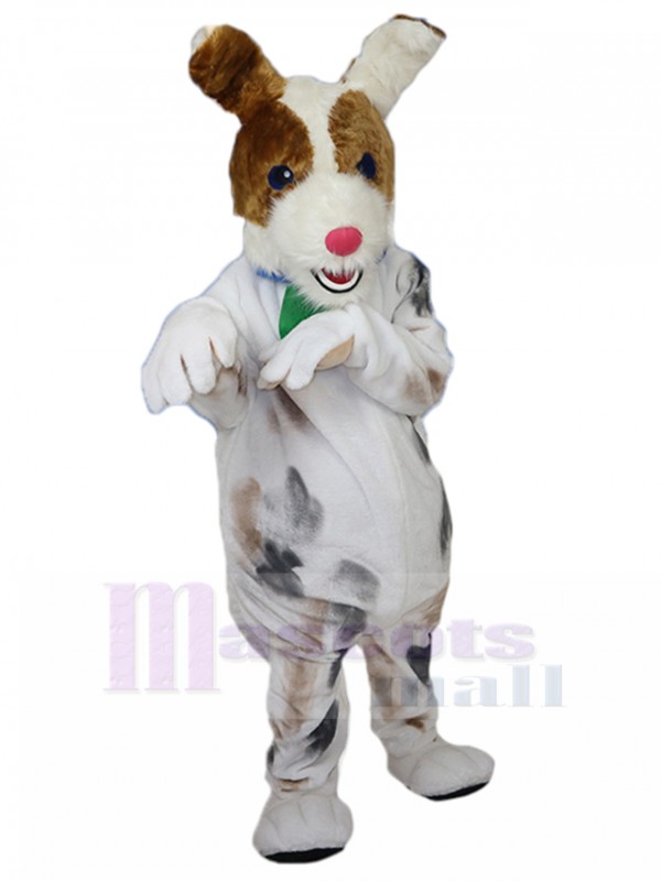 Dog mascot costume