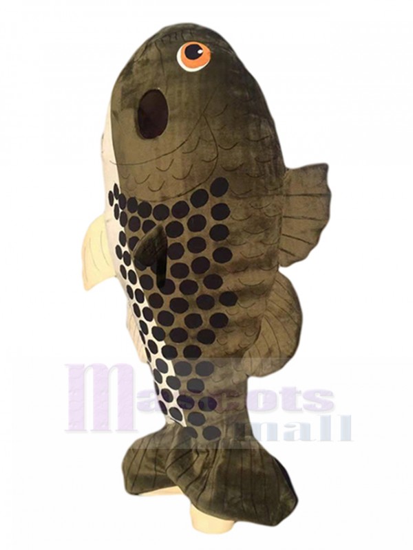 Fish mascot costume