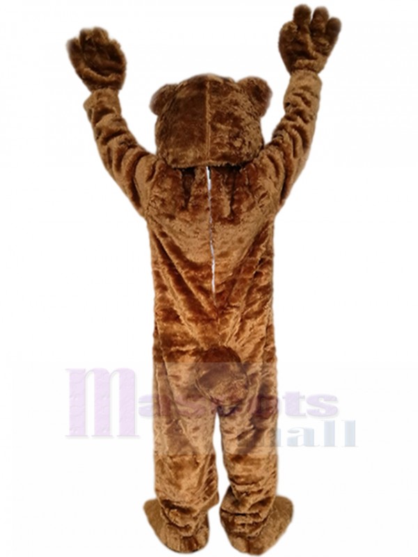 Bear mascot costume