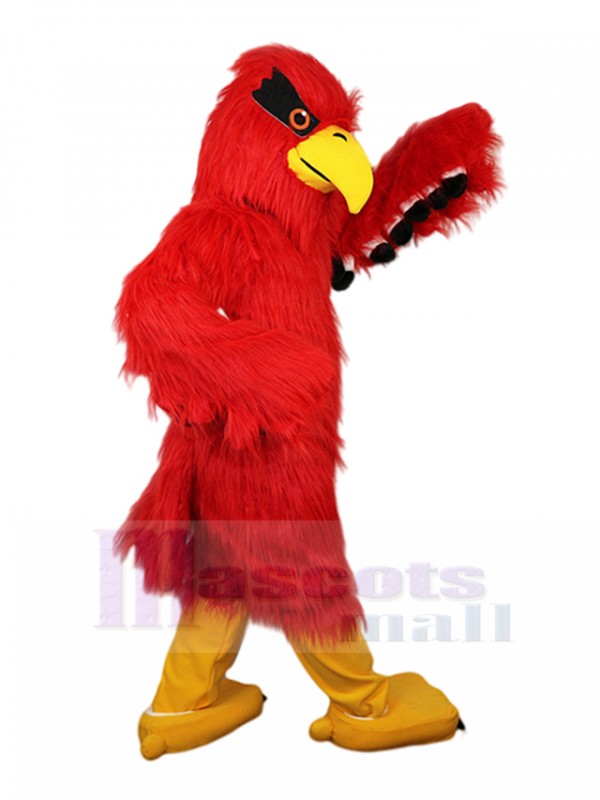 Eagle mascot costume