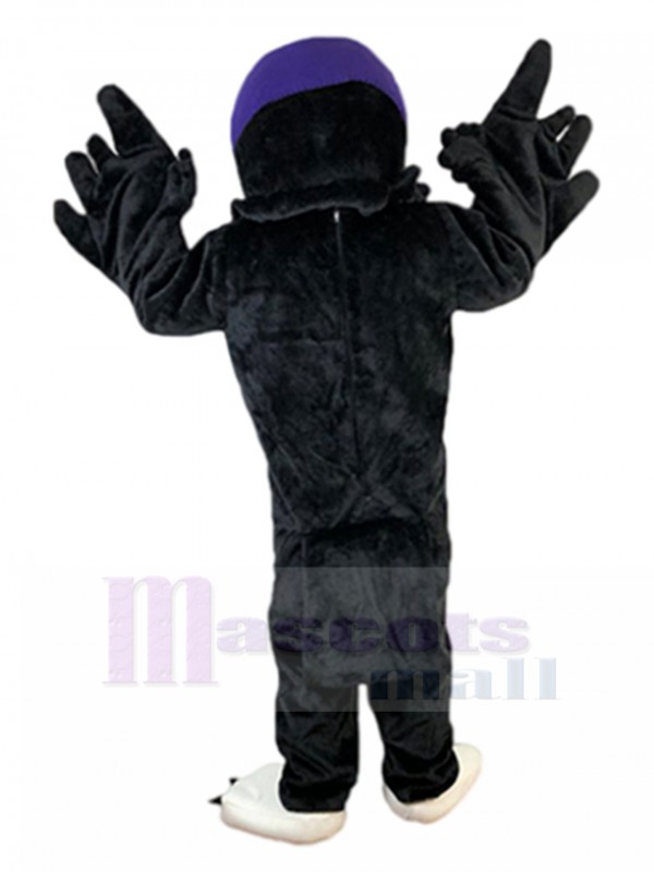Eagle mascot costume