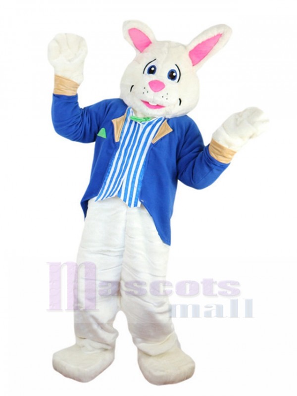 Rabbit mascot costume