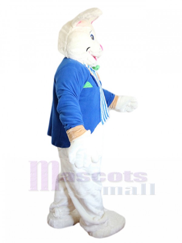 Rabbit mascot costume