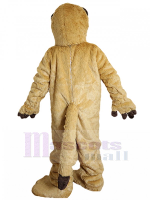 Raccoon mascot costume