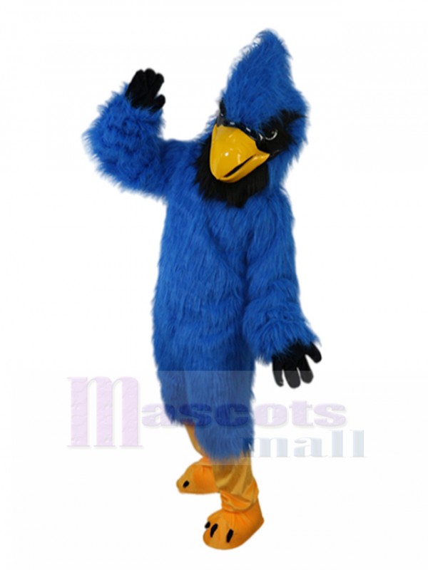 Eagle mascot costume
