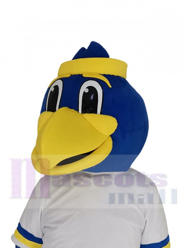 Bird mascot costume