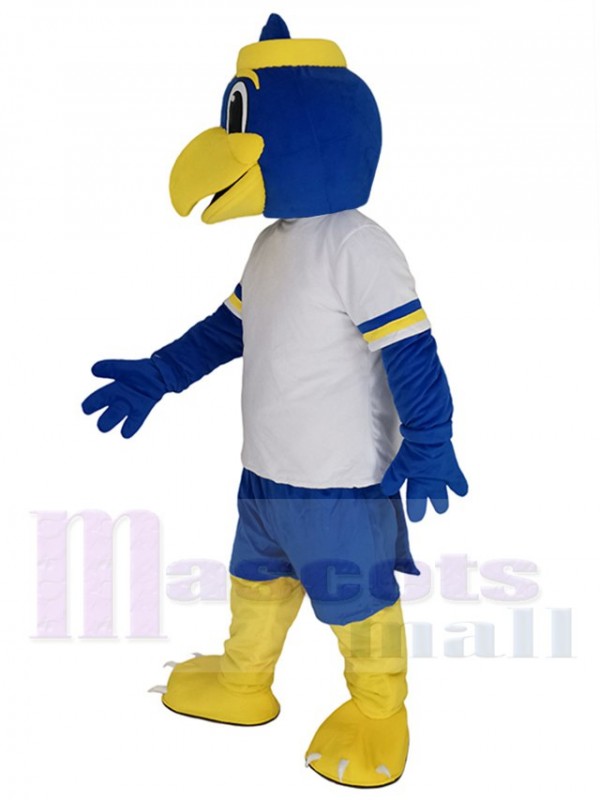 Bird mascot costume