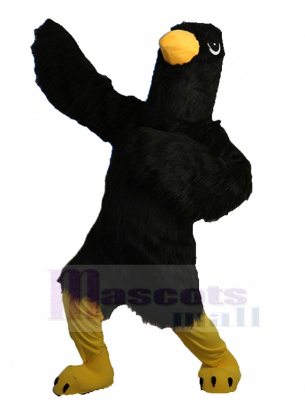 Eagle mascot costume