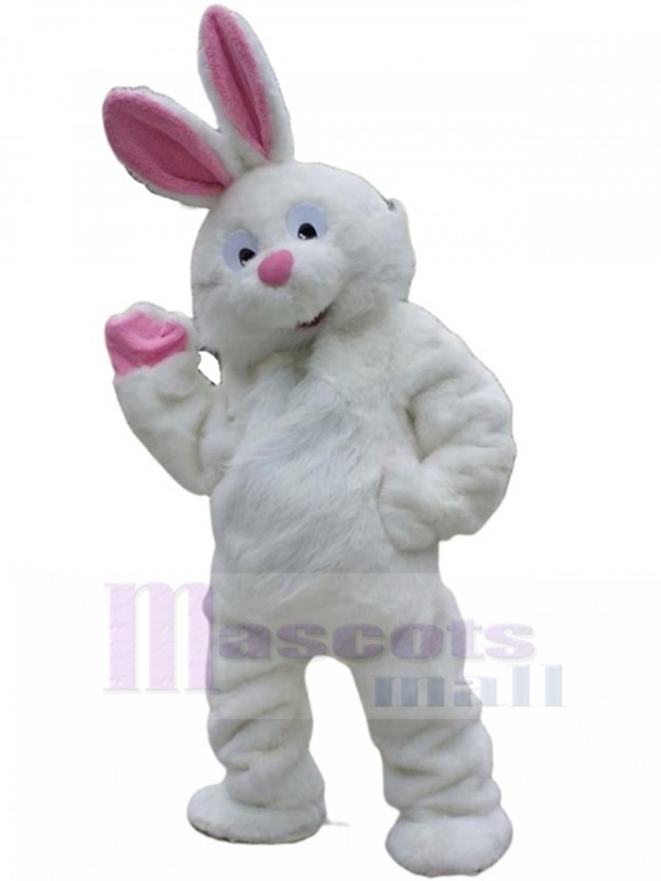 Rabbit mascot costume