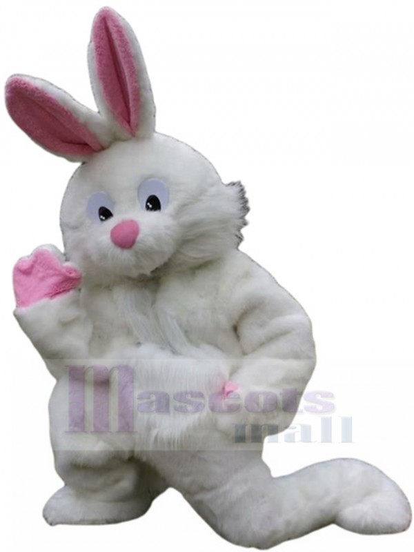 Rabbit mascot costume