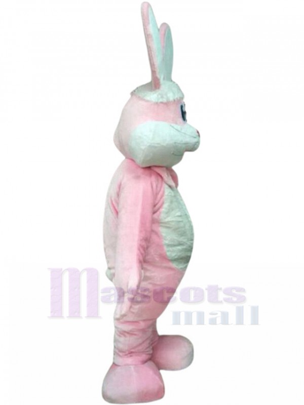 Rabbit mascot costume