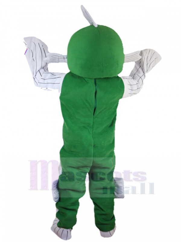 Fish mascot costume