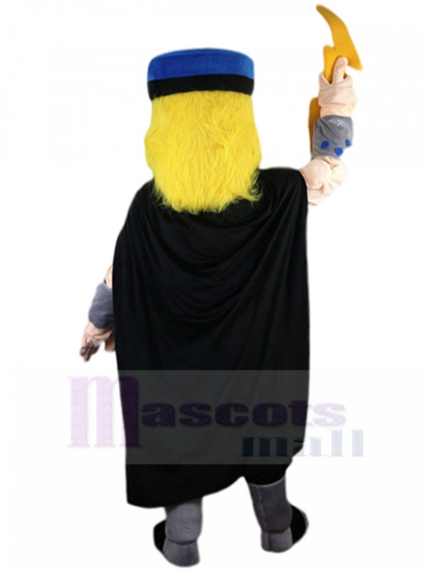 Raytheon mascot costume