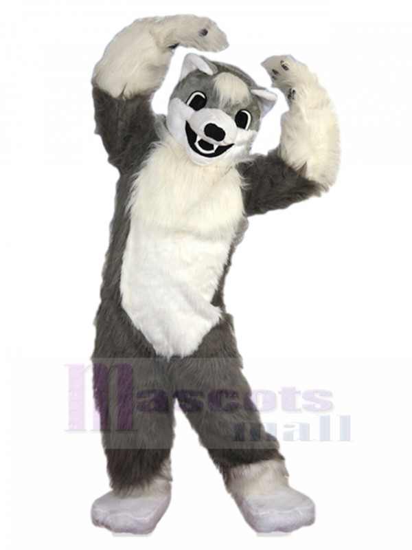 wolf mascot costume