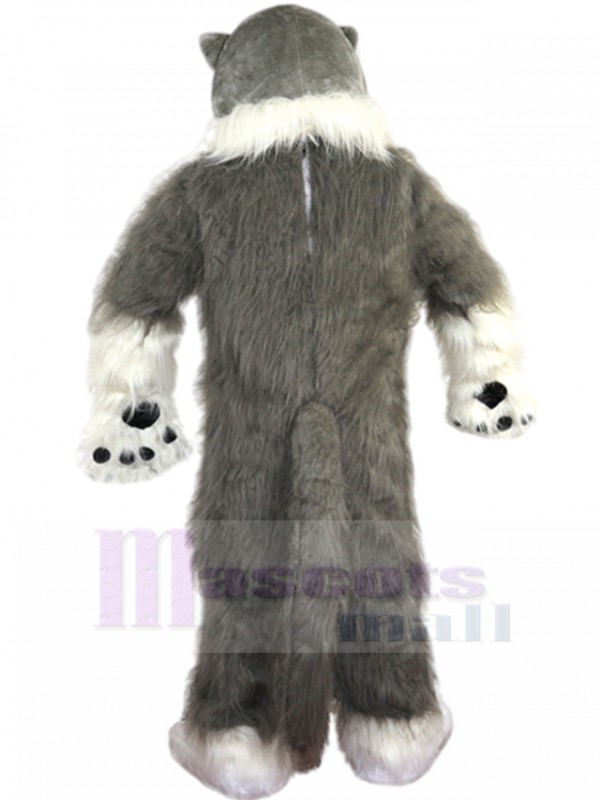 wolf mascot costume