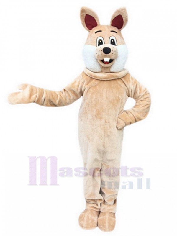 Rabbit mascot costume