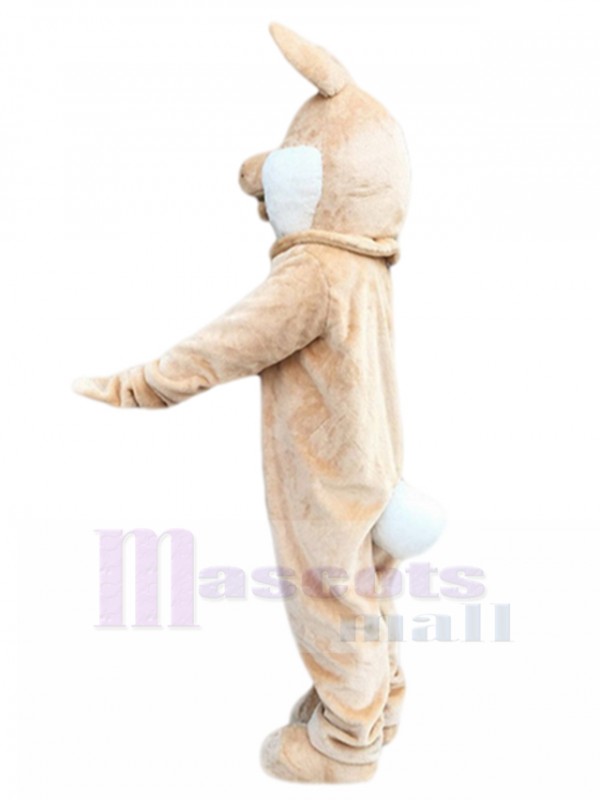 Rabbit mascot costume
