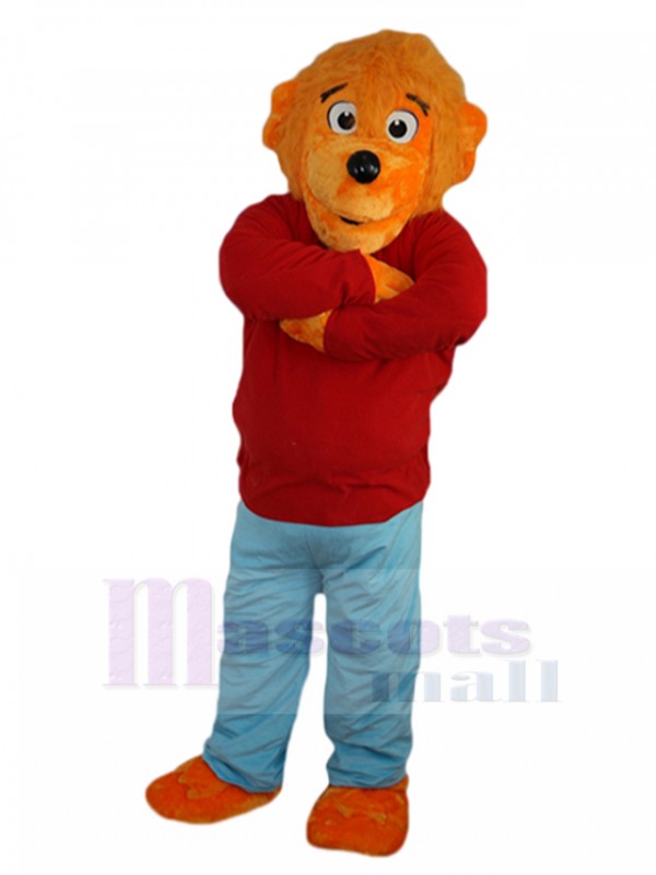 Bear mascot costume