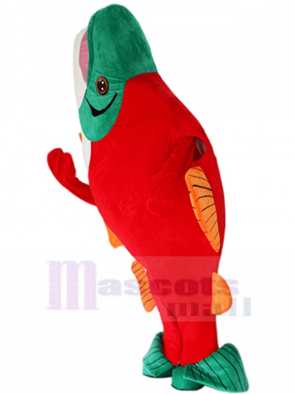 Fish mascot costume